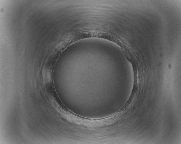 X0000085810039200703231347