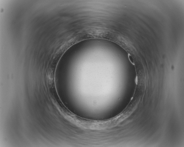 X0000085810040200703231347