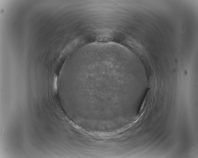 X0000085810041200703231347