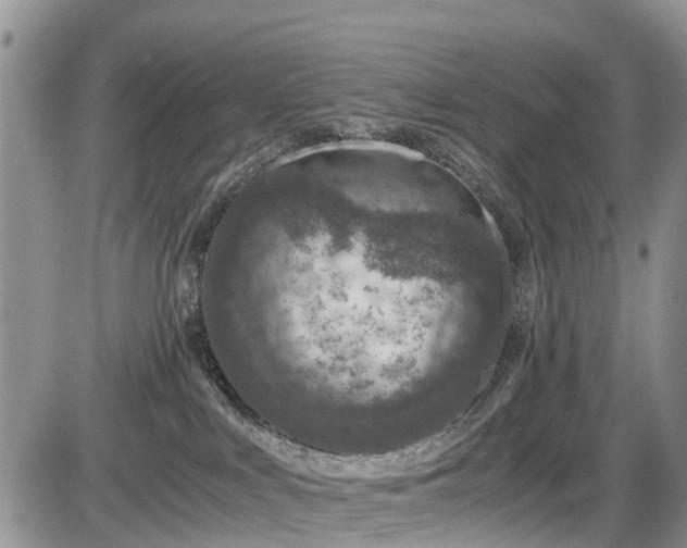 X0000085810043200703231347