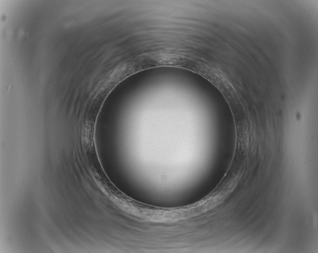 X0000085810044200703231347