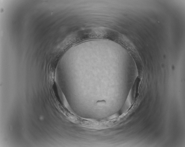 X0000085810045200703231347