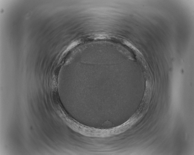 X0000085810048200703231347