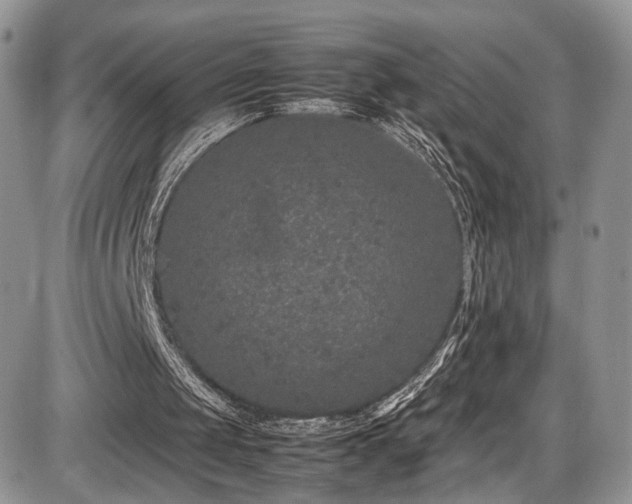 X0000085810049200703231346