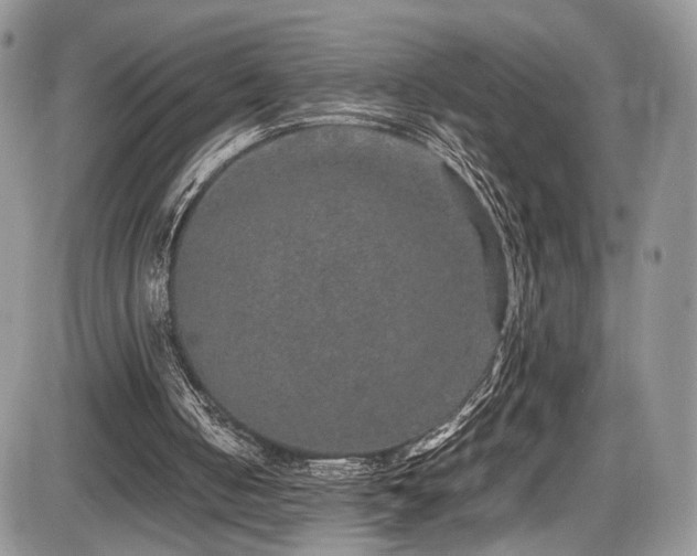 X0000085810050200703231346