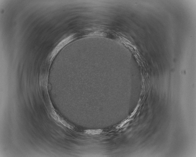 X0000085810051200703231346