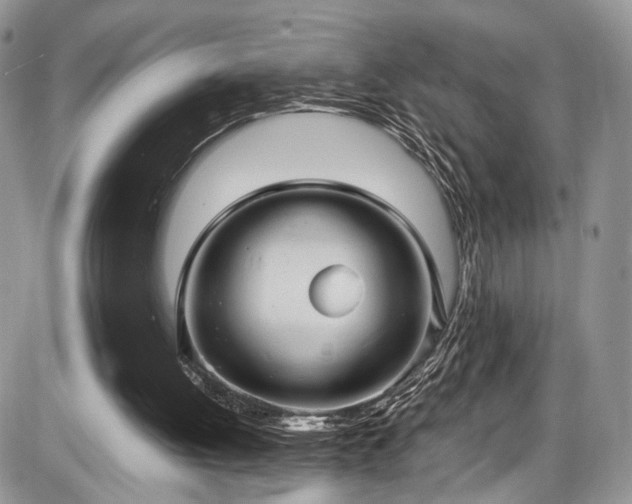 X0000085810052200703231346