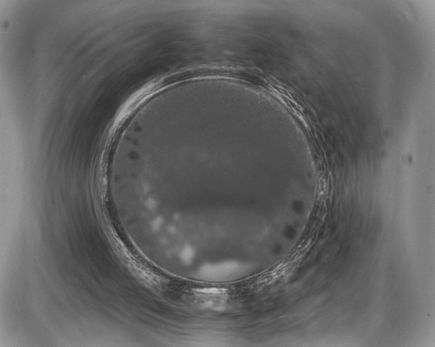 X0000085810053200703231346