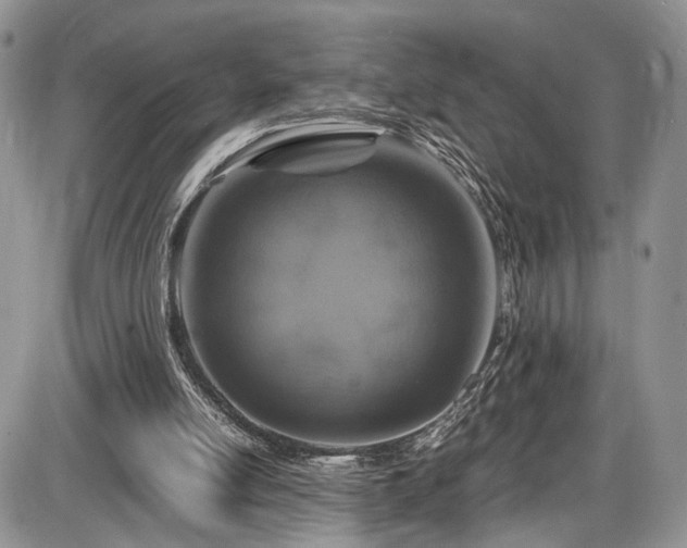 X0000085810054200703231346