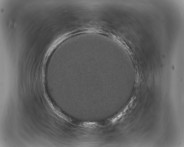 X0000085810055200703231346