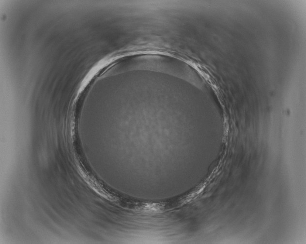 X0000085810056200703231346