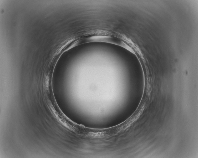 X0000085810057200703231346