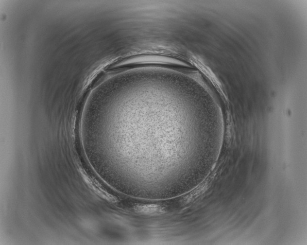 X0000085810058200703231346