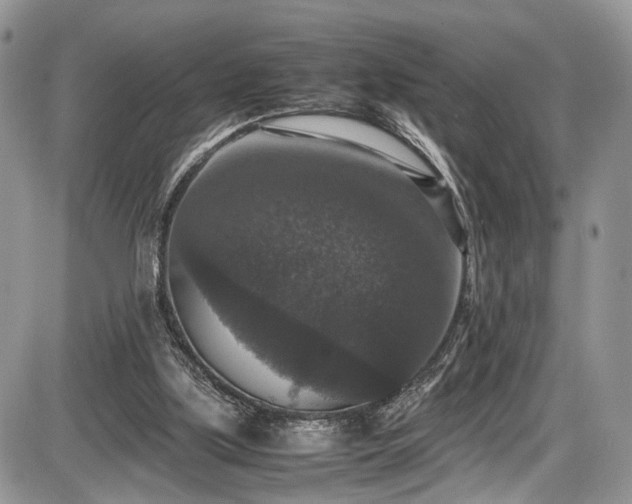 X0000085810059200703231346