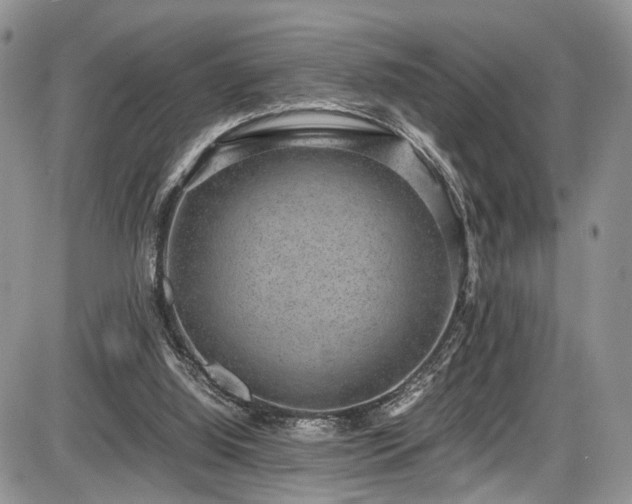 X0000085810060200703231346