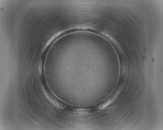 X0000085810064200703231346