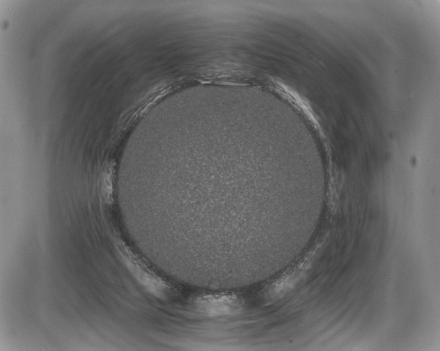 X0000085810065200703231346