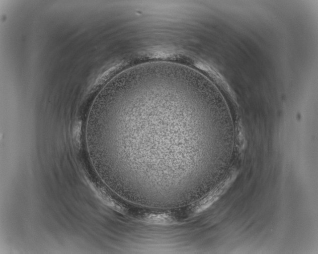 X0000085810066200703231347