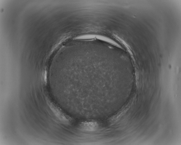 X0000085810067200703231347