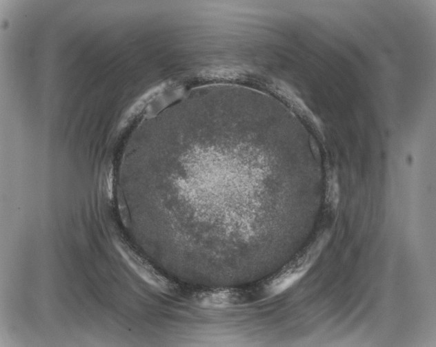 X0000085810068200703231347