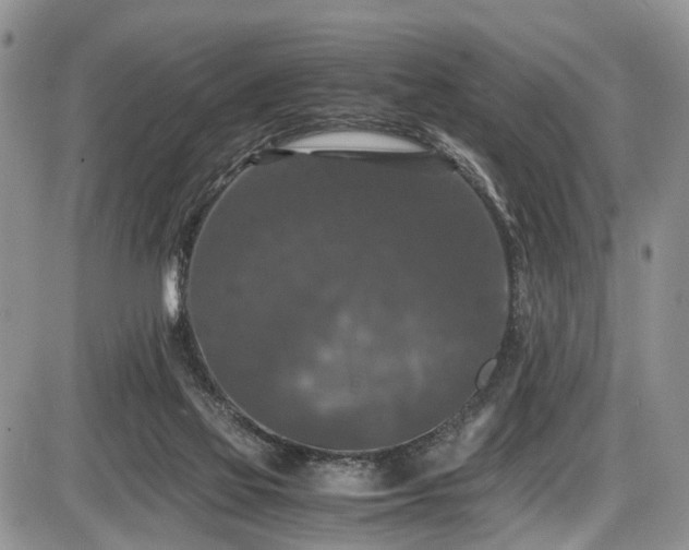 X0000085810069200703231347