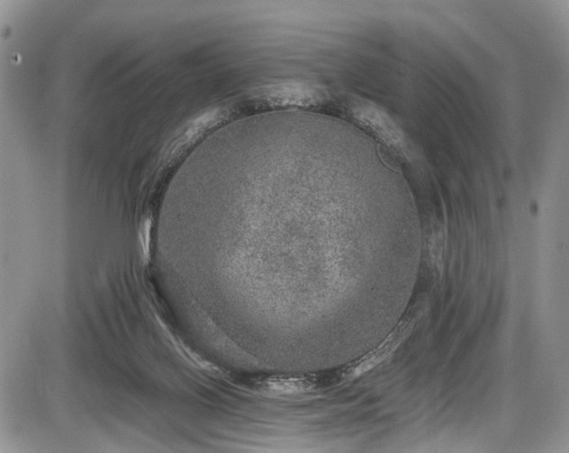 X0000085810070200703231347