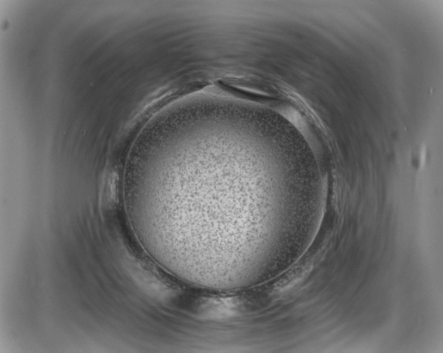 X0000085810071200703231347