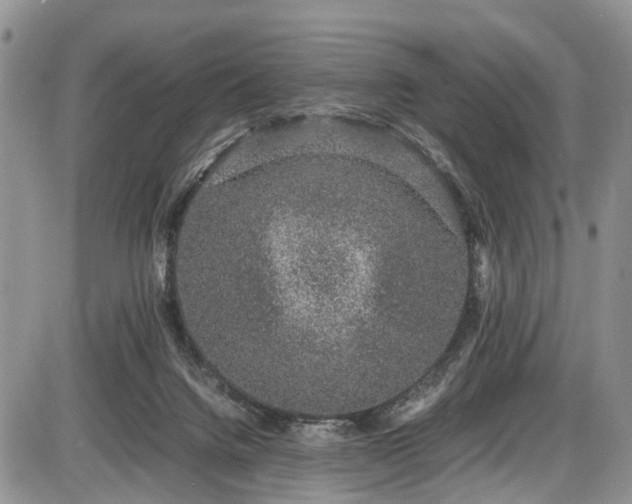 X0000085810072200703231347