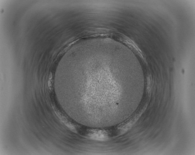 X0000085810073200703231347