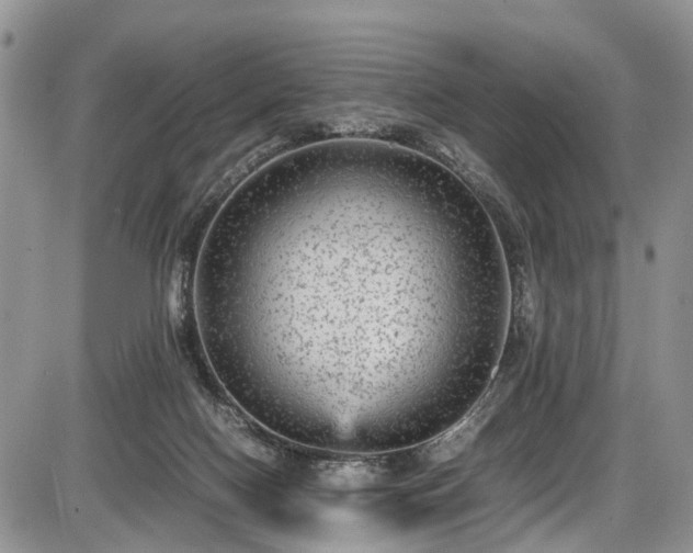 X0000085810074200703231347