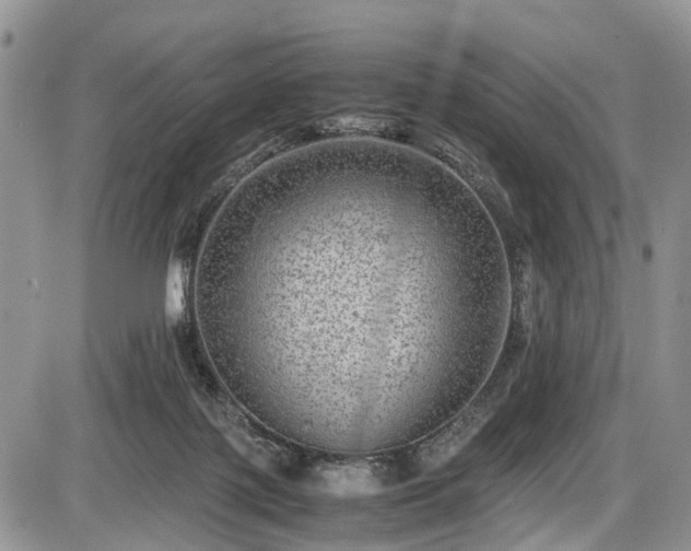 X0000085810075200703231347