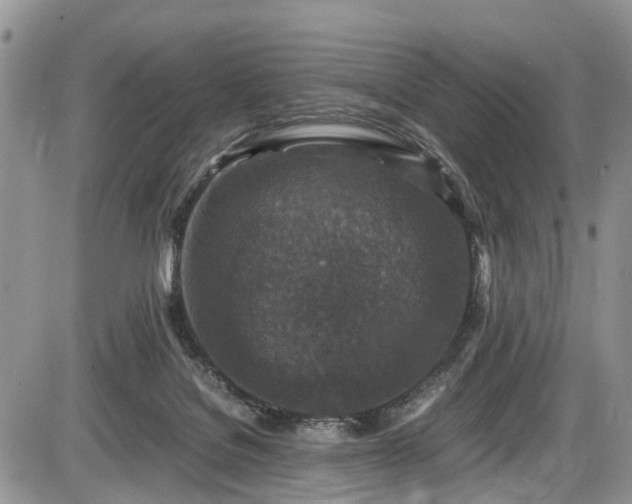 X0000085810076200703231347