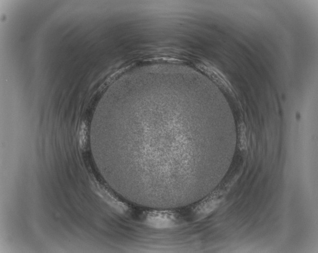 X0000085810077200703231347