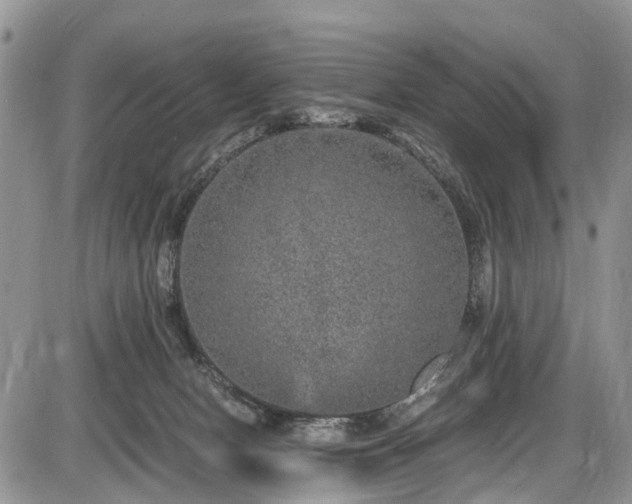 X0000085810078200703231347