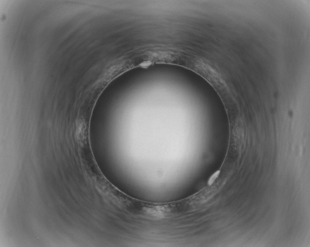 X0000085810079200703231347