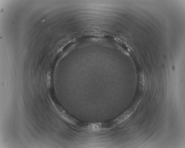 X0000085810080200703231347