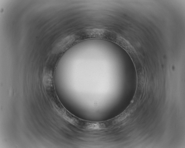 X0000085810083200703231347