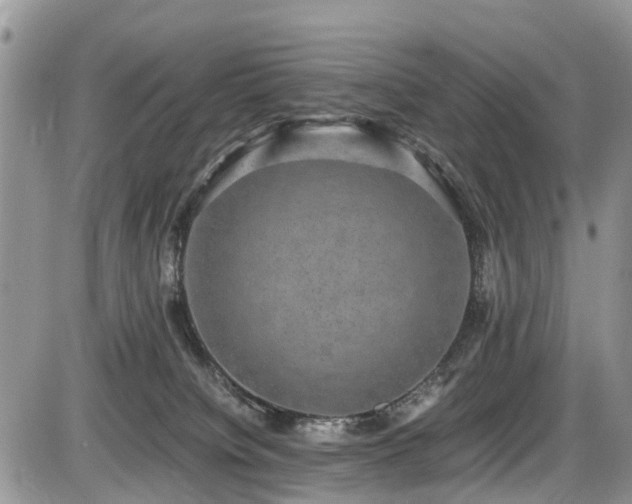 X0000085810084200703231347