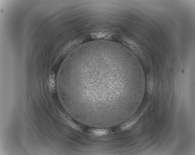 X0000085810085200703231347