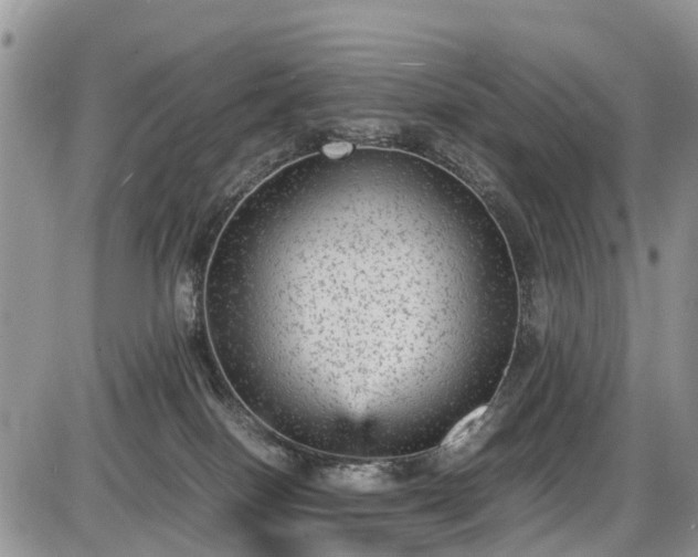 X0000085810086200703231347