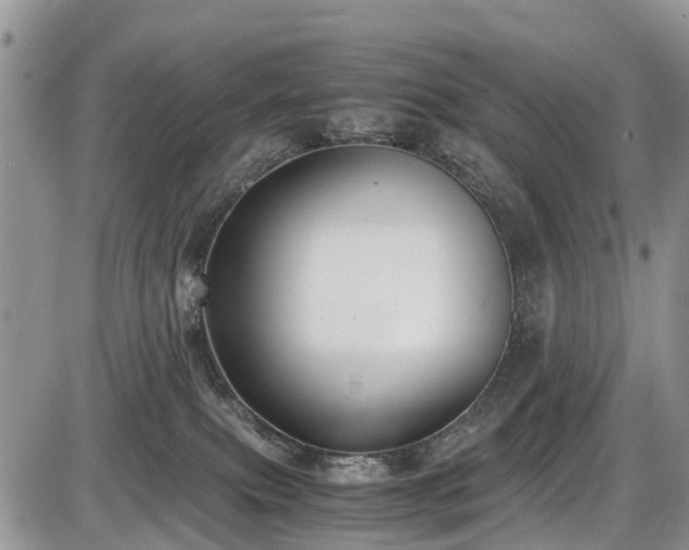 X0000085810087200703231347