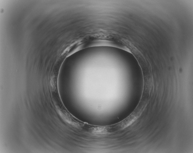 X0000085810088200703231347