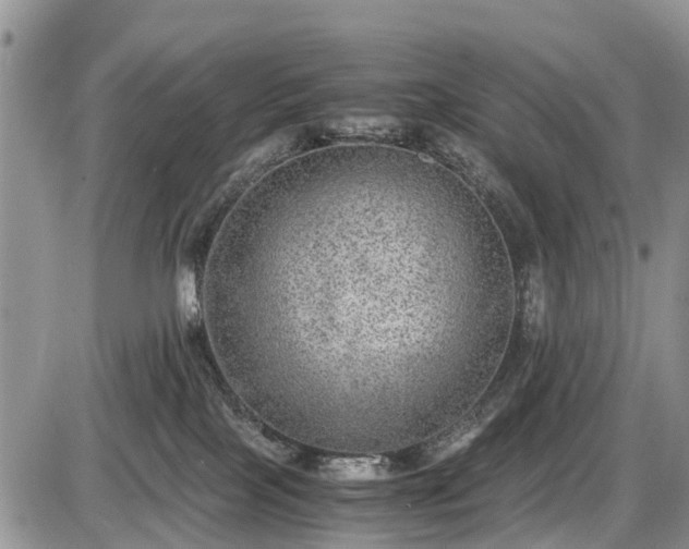 X0000085810089200703231347