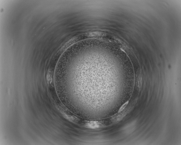 X0000085810091200703231347