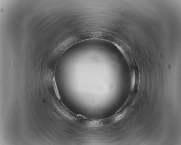 X0000085810092200703231347