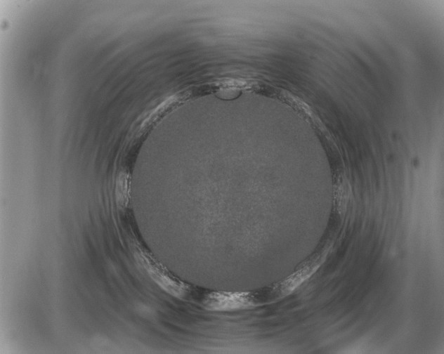 X0000085810093200703231347