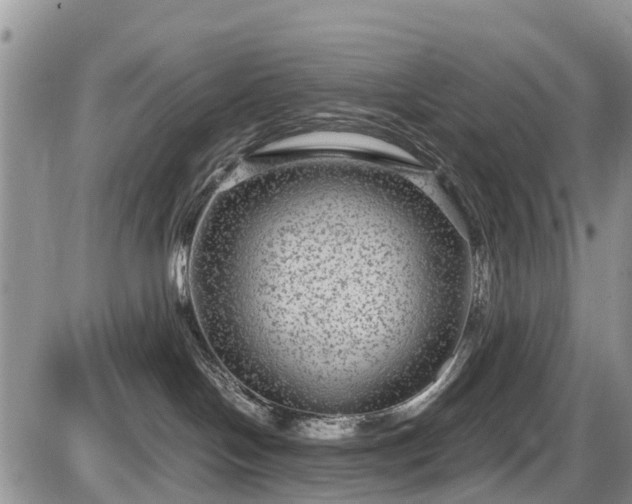 X0000085810094200703231347