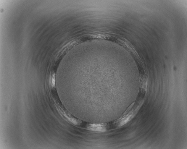 X0000085810095200703231347