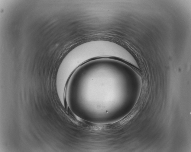 X0000085810096200703231347