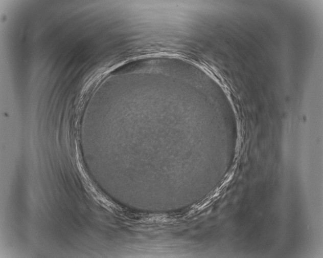 X0000085810097200703231346